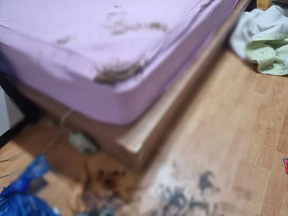 청소왕 용인 기흥구 입주청소 현장 사례 - [회룡역 고독사]다가구 주택 서로 다른 공간에서 같은 현실을 마주하다