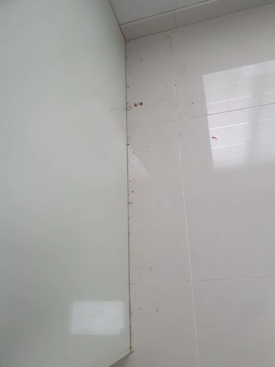 부천 포도마을 삼보아파트 리모델링 후 이사청소 : 짜잔 -! 사진 3
