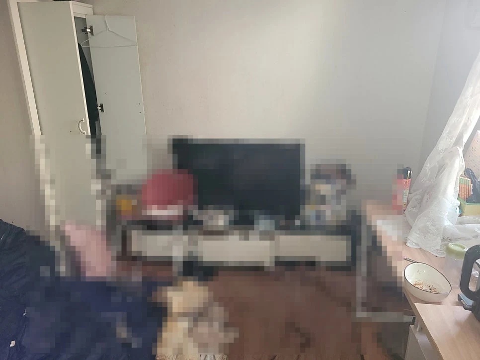 청소왕 일산신도시 악취제거 현장 사례 - 의정부 고독사 청소, 바닥에 생긴 구더기... 직접 치워도 될까요? (특수청소 비용과 올바른 방법)