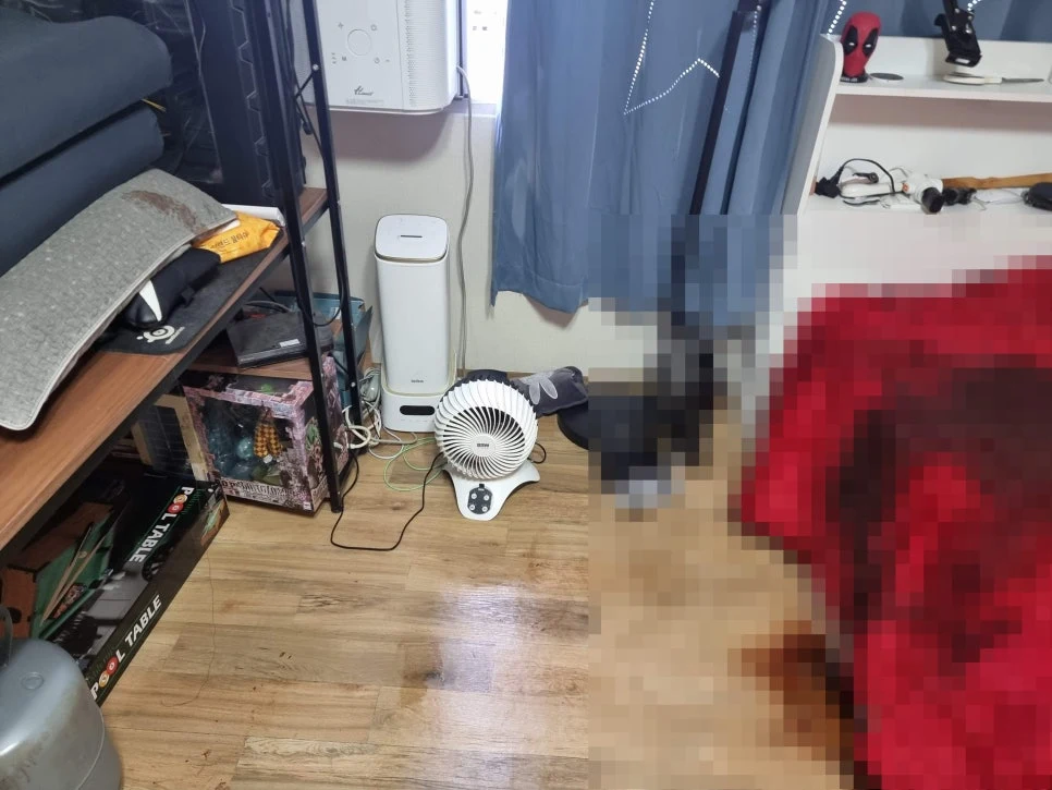 청소왕 남양주시 고독사청소 현장 사례 - 고독사 발생 원인, 그리고 남겨진 공간을 치유하는 청소의 이야기
