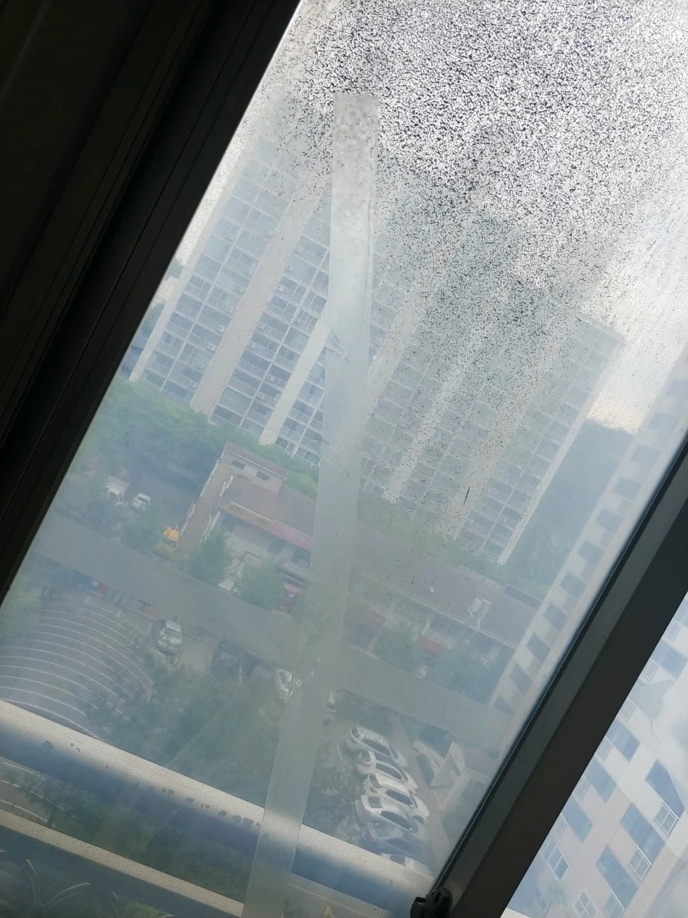 안양 관양동 현대아파트 이사청소 : 무조건 여기서 한다! 사진 15