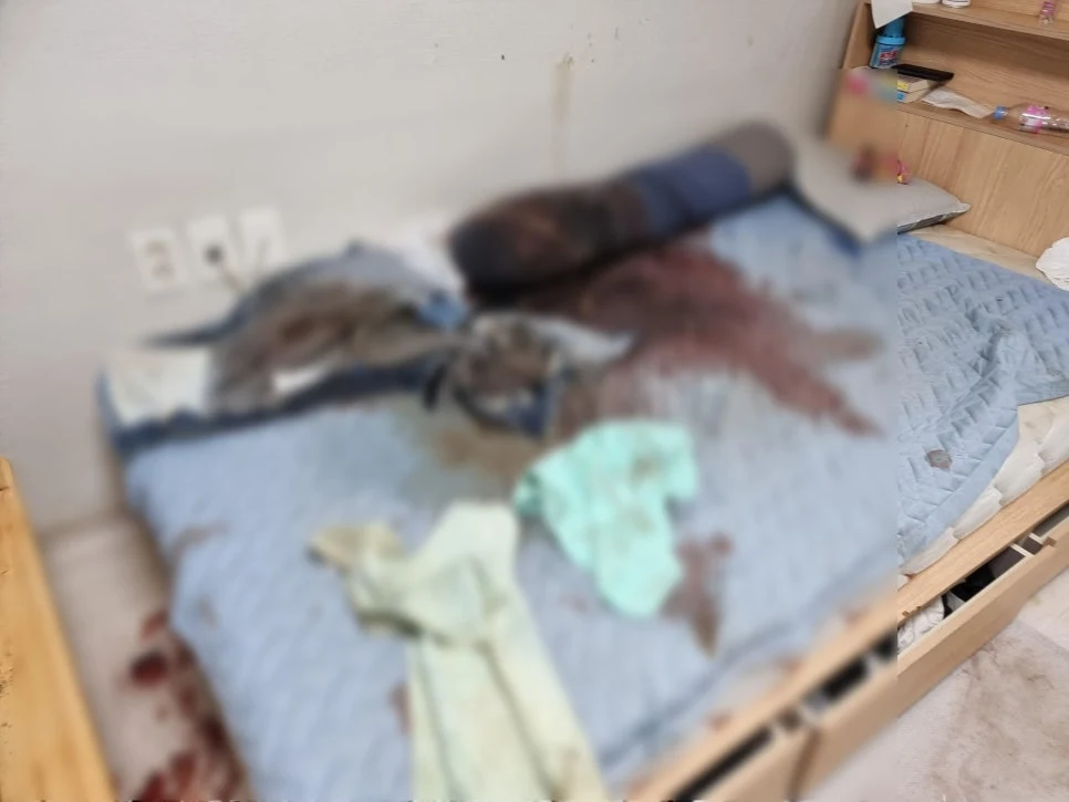 의정부 송산1동 고독사 청소 후기 – 구더기로 가득 찬 방, 마지막을 정리하다