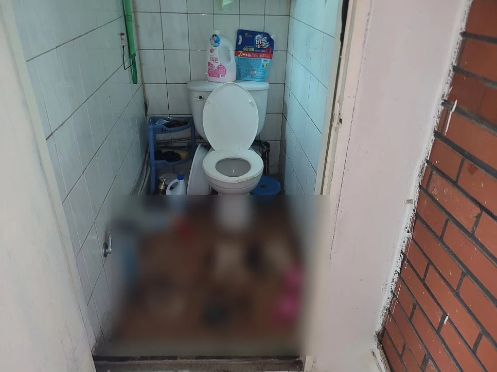 청소왕 압구정·청담 유품정리 현장 사례 - [독거노인 고독사 현장]잊혀진 문 뒤의 삶, 독거노인 고독사 현황과 예방 그리고 청소왕의 이야기