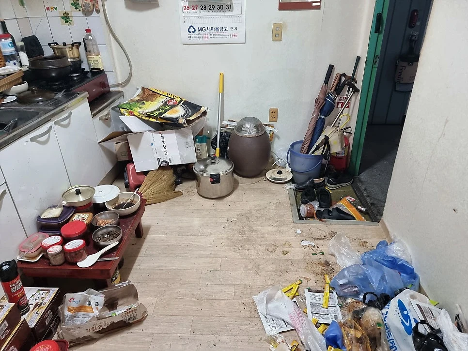 쓰레기집 복원, 단순한 청소가 아닌 다시 사는 공간의 시작 사진 6