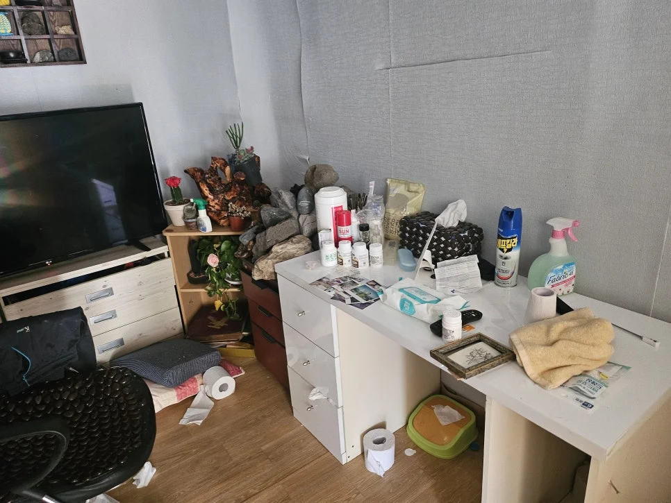 청소왕 송도신도시 곰팡이제거 현장 사례 - [의정부 용현동 고독사 청소] 유품 정리 방법부터 유품 소각까지