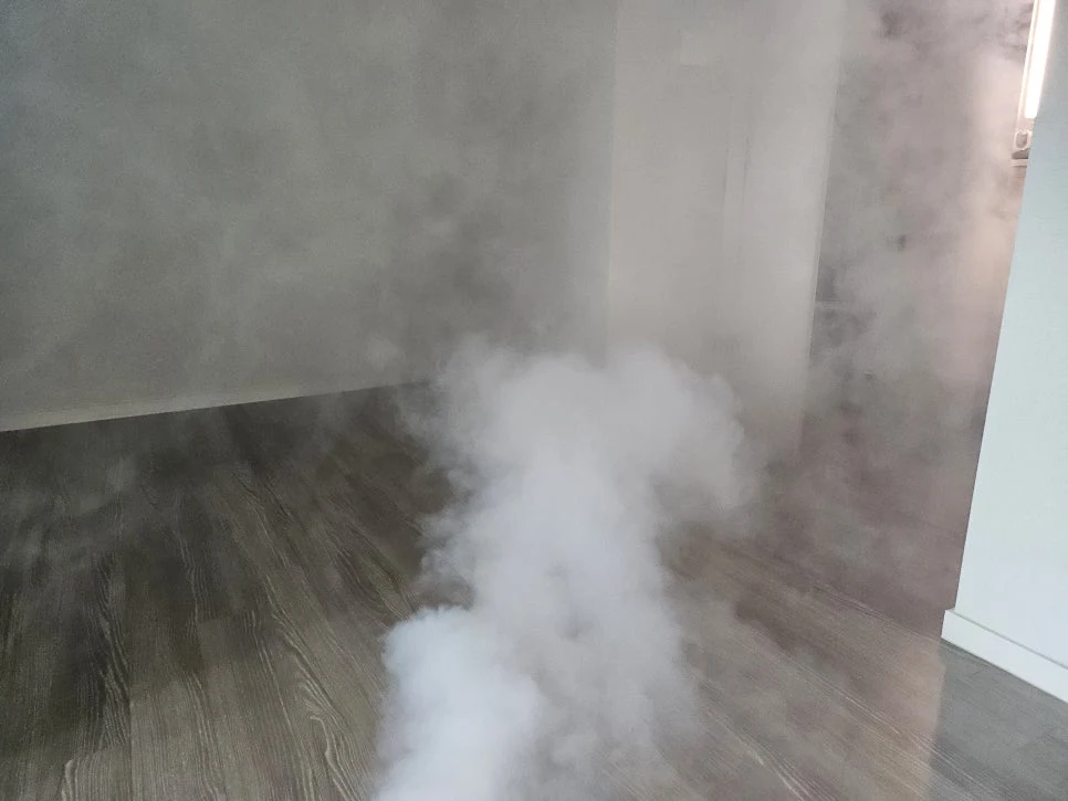 애완동물 있는 집 방역청소 팁 & 집 방역청소 비교 후기 – 방역청소 업체 비용·도구까지 완벽 안내!