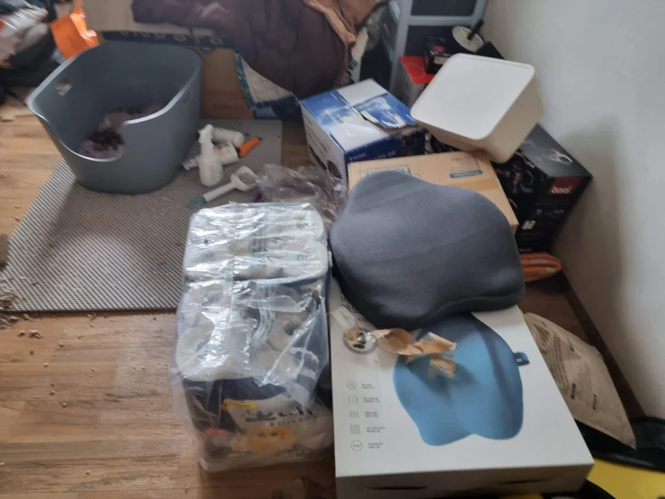 청소왕 도봉구 유품정리 현장 사례 - 고독사 정책, 왜 점점 더 중요해지고 있을까
