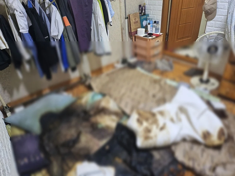 청소왕 화성시 쓰레기집청소 현장 사례 - 고독사 장판 얼룩 제거 방법을 중심으로 한 완벽 가이드