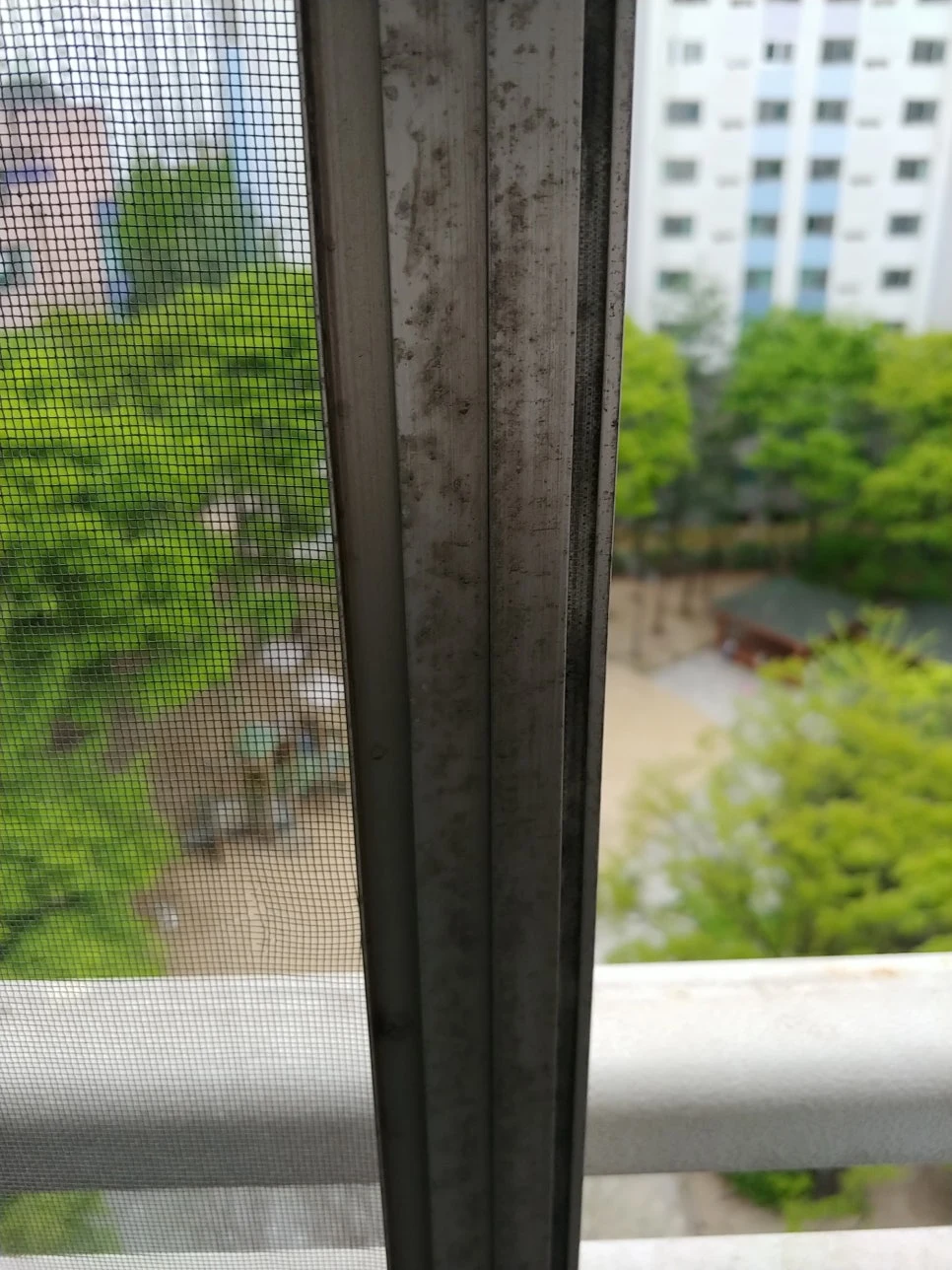안양 관양동 현대아파트 이사청소 : 무조건 여기서 한다! 사진 23